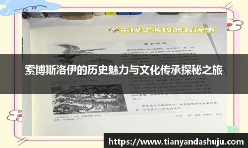 bsports官网入口