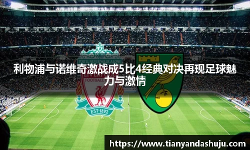 bsports官网入口