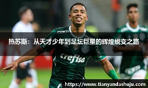 bsports官网入口