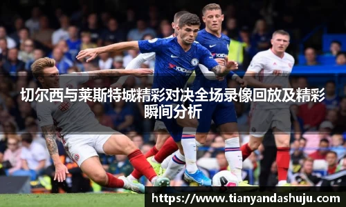 bsports登录入口
