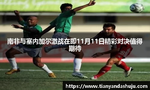 bsports官网入口