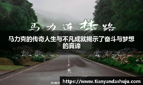 bsports登录入口