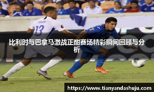 bsports登录入口