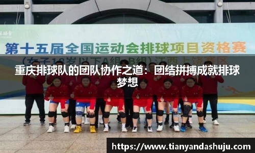 bsports登录入口