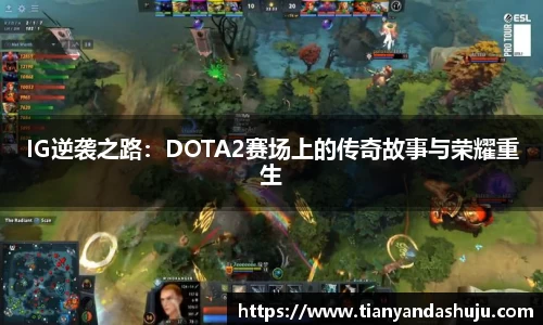 bsports登录入口