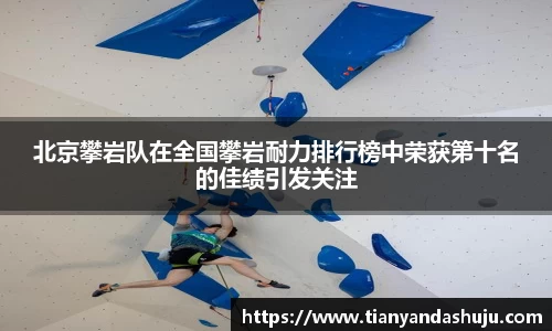 bsports登录入口
