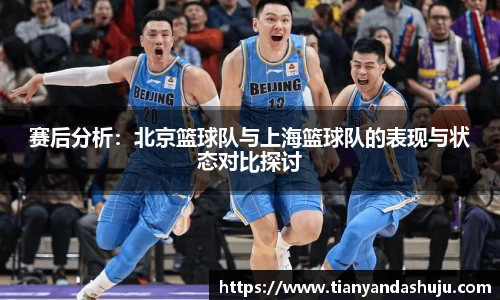 bsports登录入口