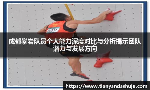 bsports官网入口