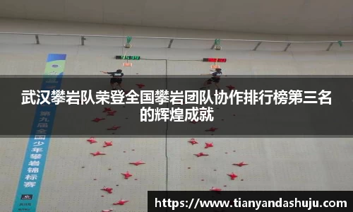 Bsports网页版