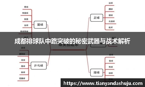 Bsports网页版