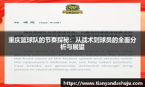 bsports登录入口
