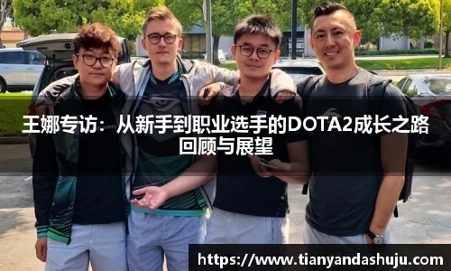 bsports登录入口