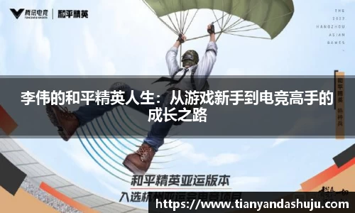 bsports官网入口
